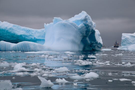 sea ice temperature