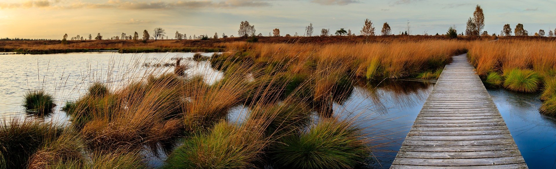 world wetlands day
