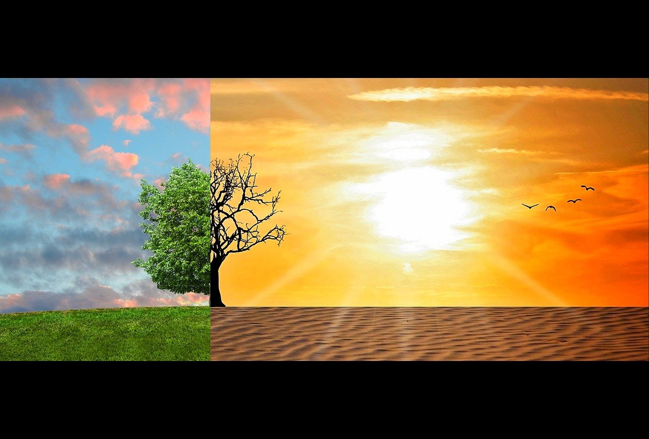 climate