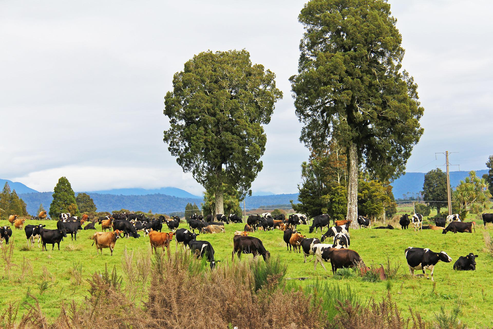 farm emissions