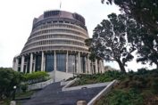Article by Make Lemonade NZ