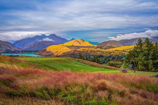 article by Make Lemonade NZ