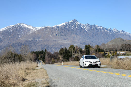 Article by Make Lemonade NZ