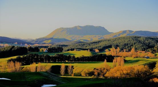 rural health NZ