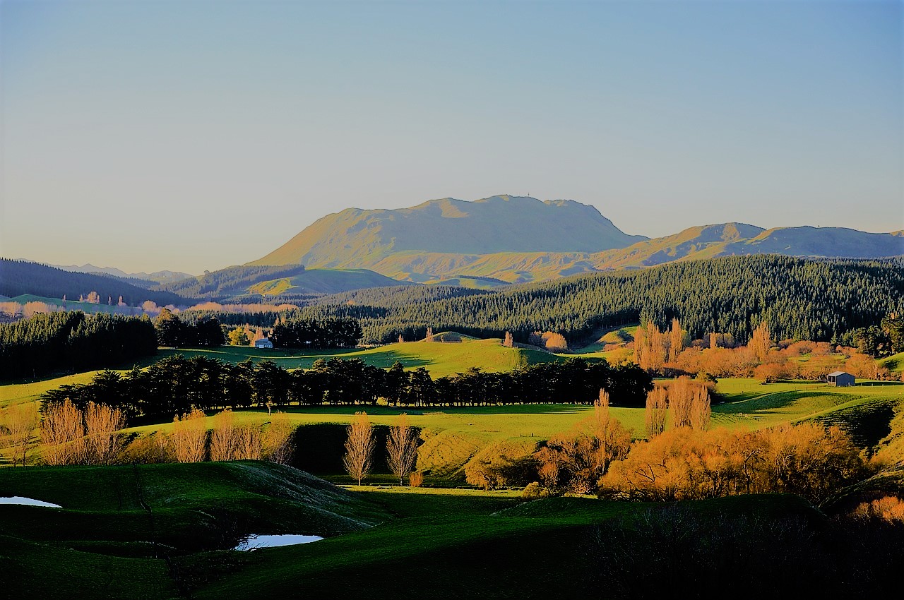 rural health NZ