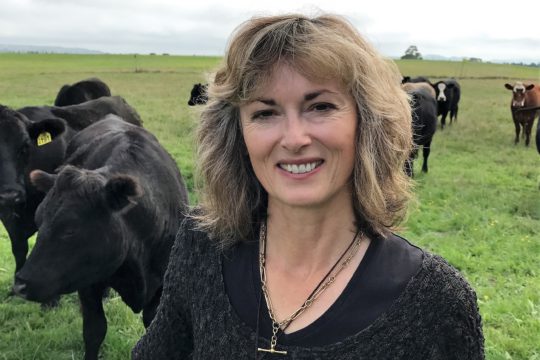 rural health NZ