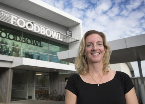 Foodbowl