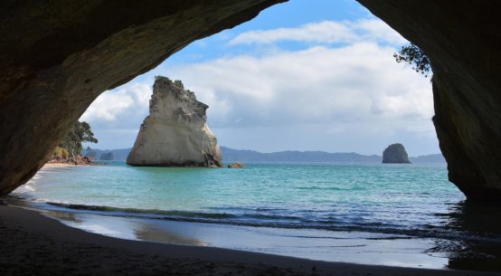 tech nz