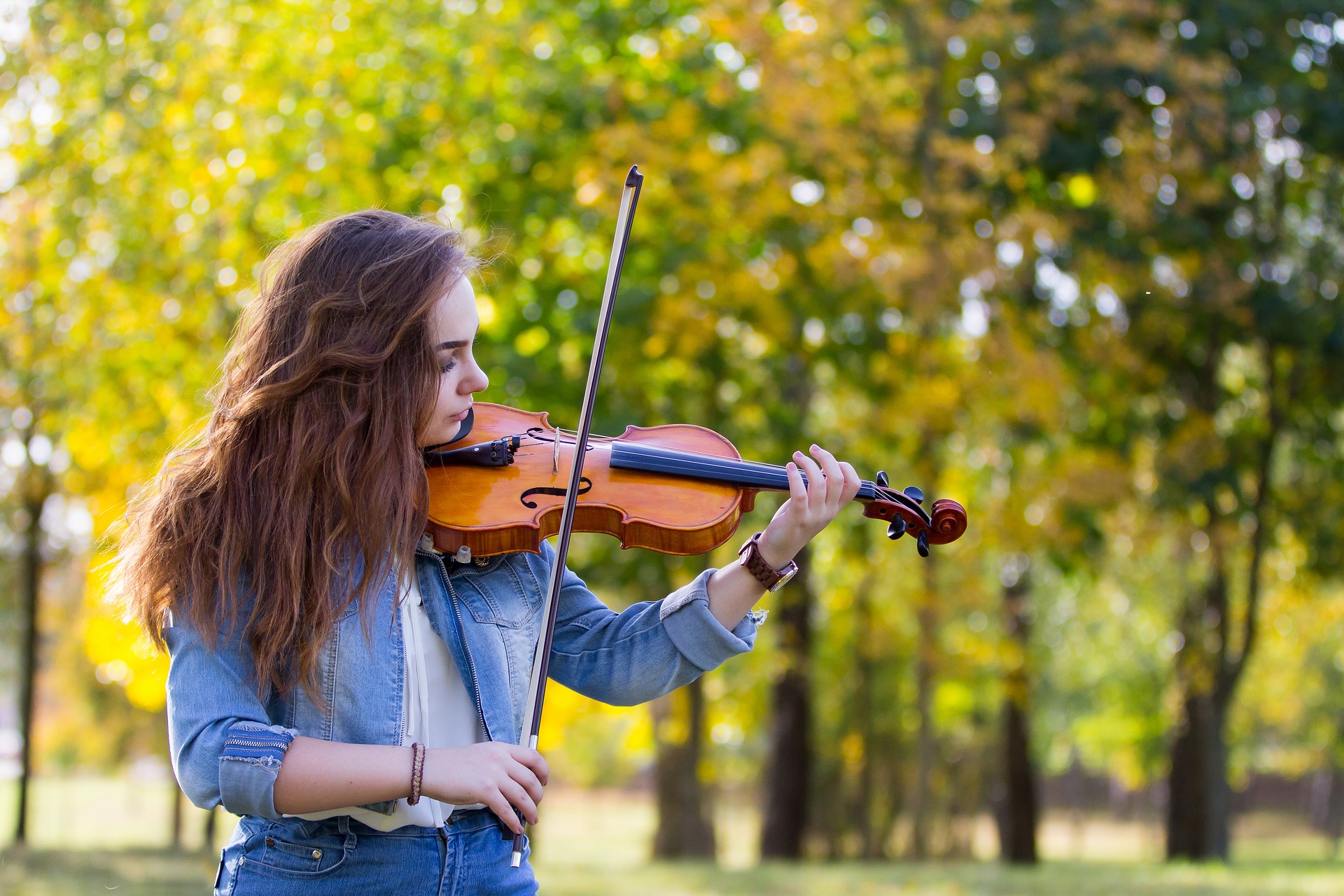 vegan violin