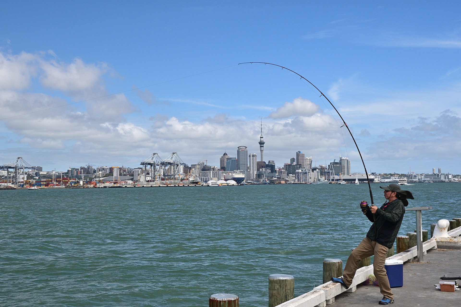 nz fish stocks